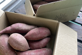 自然農法★熟成★栄養価の高いサツマイモ紅おとめ　土付き　　2kg