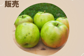 【予約先行販売！】爽やかな初恋の味　はつ恋ぐりん　青森県産りんご《家庭用　3kg》