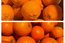 【柑橘食べ比べ】デコ(不知火)２ｋｇ&伊予柑２ｋｇ　旬の柑橘食べ比べセット！