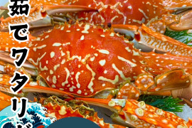 【浜名湖産】茹でガザミオス１杯約150gから300g詰め合わせて1kg