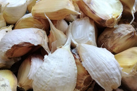 【有機JAS認証】にんにくバラ 500g 南アルプスの有機野菜