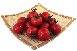 糖度8度以上の高糖度ミニトマト！安定した甘さと光沢のあるフルーツミニトマト バラ2kg