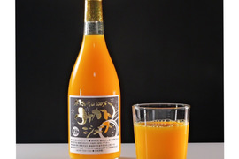 【贈り物にもピッタリ】木下さんちの100%みかんジュース6本セット720ml