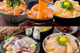 【福袋2025】醤油漬け4種（サクラマス、ホッケ、ヒラメ、サバ）と切れてる刺身5種（3D冷凍）