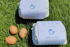 【期間限定】平飼い鶏の初産み卵 6個入×4パック 24個入 ギフトにもおすすめ♪ 遠藤農園 埼玉県加須市 後藤もみじ卵