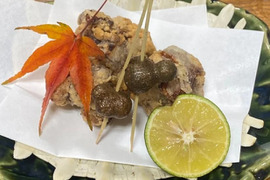 誰でもたべやすい！すっぽん唐揚げ（４個入り）