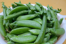 シャキシャキ甘い！沖永良部島産スナップエンドウA品　１キロ