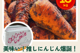 ※物価高騰をぶっ飛ばせ！※北海道の恵み！やさしい甘味の浦幌産のにんじん10kg