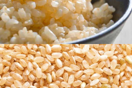 【新米玄米】20㎏！食べ比べセット！もっちりコシヒカリ&あっさりこしいぶき【令和5年産】