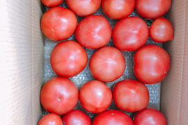 麗夏トマト2.8キロ詰め