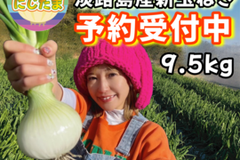 【予約商品】農家直送!! 淡路島産ブランド新玉ねぎ 『にじたま』極早生 一級品 9.5kgダンボール入り（ご家庭用・35個前後） 使いやすいM・L・2L混在！4/1頃から発送