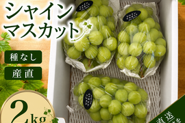 完熟収穫！上品な甘さのシャインマスカット【2kg】
