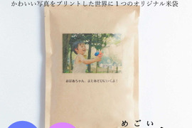 【かわいいお米の成長報告ギフト -megoi-】南魚沼産コシヒカリ2合（300ｇ）×1袋