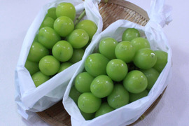 【長野県産 】シャインマスカット 贈答用 2.2kg（4房入り）