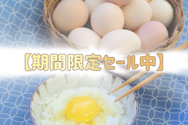 春🌸限定！700円OFF🎉平飼い名古屋コーチン【王様のたまご】24個（22個+破卵補償分2個含む）