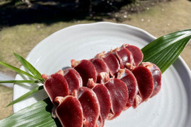 さつま極鶏大摩桜　砂ずりカット単品（加熱用）冷凍