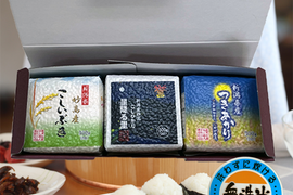 令和7年産　新潟県産　真空パック米３００ｇ×３個セット　無洗米