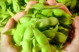 『讃岐の黒枝豆』丹波の黒豆系‼ さや１kg 瀬戸内の太陽たっぷりの香川県産