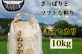 【令和4年度】新米˚✧さっぱりとした口当たり〔キヌヒカリ〕白米 10kg