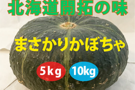 北海道開拓の味！優しい甘さの『まさかりかぼちゃ』10kg