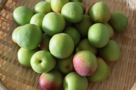 【2kg】紀州南高梅【あなたの優しさに漬け込まれたい】