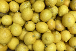 訳あり　愛媛県産　瀬戸内　栽培期間中農薬不使用　国産レモン　2kg