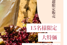 【緊急】15名様限定　サニーレタスと大根の野菜セット　【大特価】