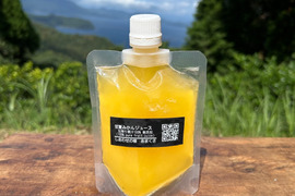 フローズン甘夏みかんジュース10本セット　（1本150ml）
