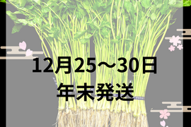 年末【予約用】約1000g 三関産せり せり　三関セリ　年末予約
