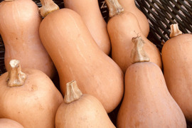 訳あり＊ねっとりとコクのある＊バターナッツかぼちゃ＊4.8kg