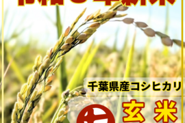 【令和8年新米】ヒラヤマファームの玄米（5kg）