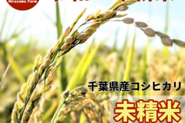 【農家直送】埼玉県産 100%コシヒカリ 10kg 令和6年産新米】埼玉県産コシヒカリ 10kg 玄米 農家直送：埼玉県