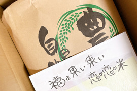 新米【恋恋米】玄米10kg 茨城県産コシヒカリ《特別栽培米》