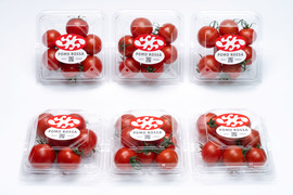 濃厚な甘みと香り際立つ『ポモロッサ6パック入』