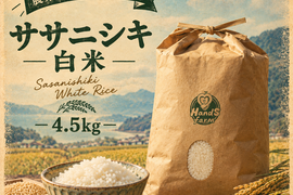 栽培期間中農薬不使用!! 京丹後産『ササニシキ』白米4.5kg