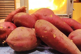 焼き芋にぴったりあま～いサツマイモ５キロ