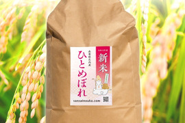 数量限定！【令和7年】新米ひとめぼれ9.8キロ白米　甘い！うまい！！