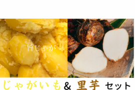 10kgセット"農家の中でも『幻』の固定種！！と里芋セット！毎年完売！本当に美味しいじゃがいも！自然栽培！農薬不使用！無肥料！美味しい野菜