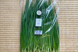 わけぎ500g 農薬・化学肥料不使用 分葱/小ねぎ