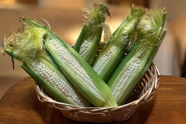 白い大物！まろやかな味わい！
