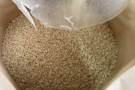 【令和4年】 京都丹後産 コシヒカリ 2kg