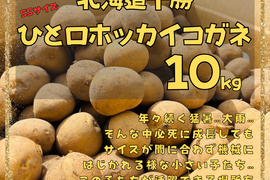 ※必死なチビじゃが※でも味は一級品！『雪夏稚くん』の一口ホッカイコガネ１０kg（直径３〜６cm）