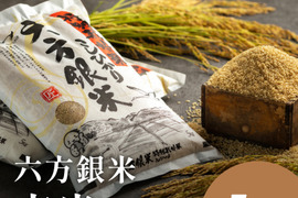 コウノトリ舞いおりるコシヒカリ 特別栽培米 六方銀米 玄米 5ｋｇ