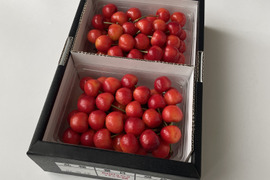 【紅秀峰】🍒１キロ🍒【Ｌサイズ以上】【お中元にもどうぞ】【さくらんぼ】【父の日ギフト】
