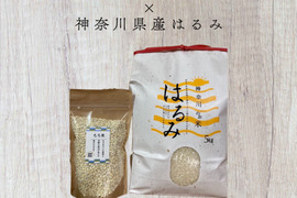 【お米セット】白もち麦とお米5kg