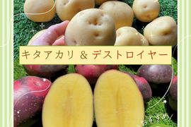 じゃがいも食べ比べ【きたあかり&デストロイヤー】各900ｇ
