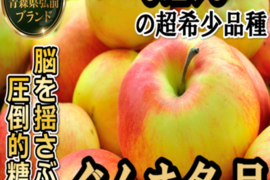 🍎黄色い林檎の概念を覆すぐんま名月🍎一度食べたらもう戻れない超希少高級林檎～品種指定キャンペーンお試し特価～【家庭用・贈答用・お取り寄せ】【冬ギフト】【2月上旬予約】