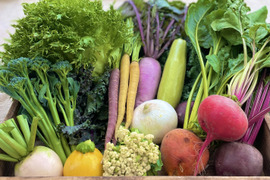 はじめてのお試ししおこぶ野菜セット（6種）