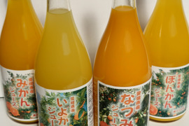 愛媛県産みかんジュース４種詰合わせ（4本）