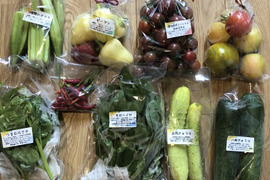 旬の固定種★おまかせ野菜セット★80サイズ